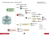 DCON-Administração Pública - Constitucional (art. 37 a 41)